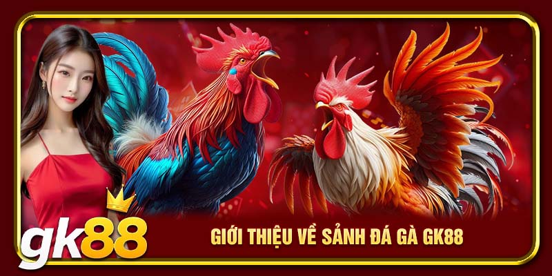 Giới thiệu tổng quan về sảnh đá gà GK88