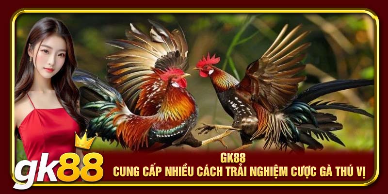 Bí quyết chơi đá gà thắng lớn từ cao thủ