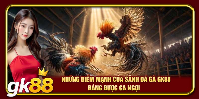 Những lý do khiến đá gà luôn giữ sức hút