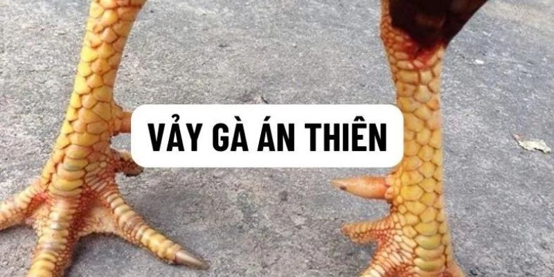 Ý nghĩa của vảy án thiên trong tâm linh